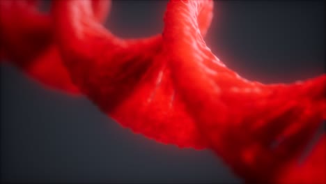 Schleifenstruktur-Der-DNA-Doppelhelix-Animation